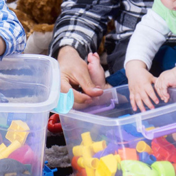 Caja Plástica Organizadora de 10 Litros con Tapa
