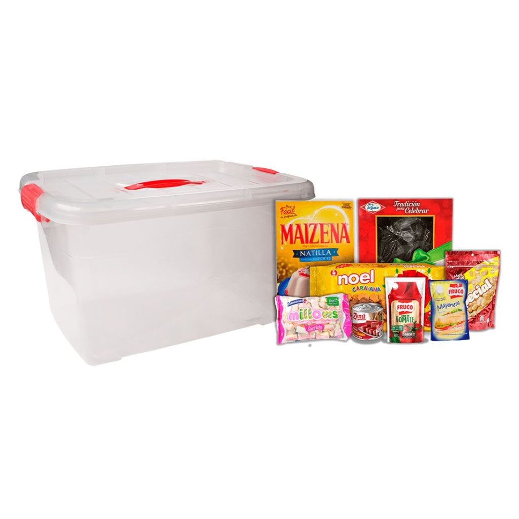 CAJA MULTIUSOS PLASTICO 10 L NUMERO 24 TAPA DE COLOR CON ASA 385X230X175 MM